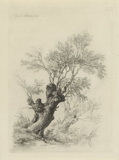 Söğüt ağacı by Remigius Adrianus Haanen
