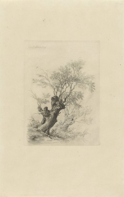 Söğüt ağacı by Remigius Adrianus Haanen