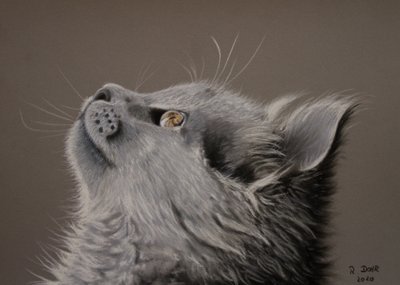 kedi anı by Renate Dohr