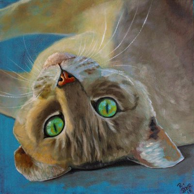 kedi şansı by Renate Dohr