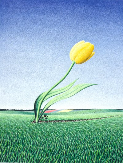 Hızlı Lale by Rene Boin
