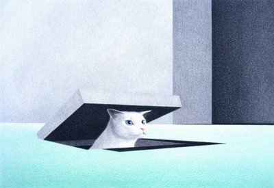Kapak by Rene Boin