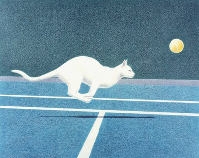 Tenis by Rene Boin