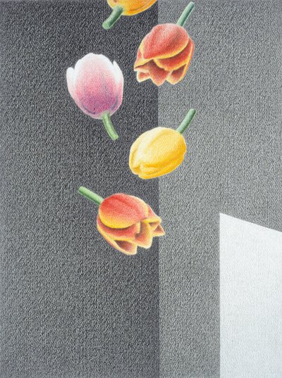 Laleler by Rene Boin