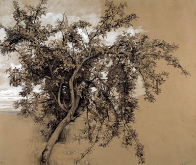 Kömür elma ağacı, Rene Ernest Huet (1876-1914) 1913 Paris, Musee d