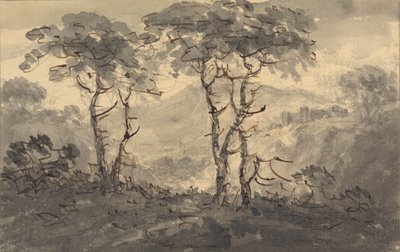 Dağ Manzarasında Köknar Ağaçları by Rev. William Gilpin