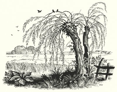Hans Christian Andersen: Karabuğday (lito) by Rex (after) Whistler