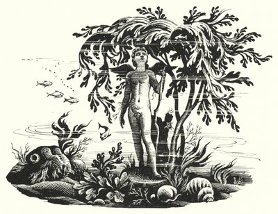 Hans Christian Andersen: Küçük Deniz Kızı (taş) by Rex (after) Whistler