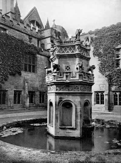 Newstead Manastırı manastırlarındaki çeşme, Nottingham, 1902-1903. by Richar Keene