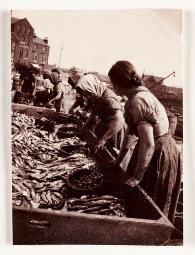 Balıkçılık, Balıkçı Kadınlar balıkları ayıklarken, Whitby Limanı, Kuzey Yorkshire, c 1905 by John Pardon