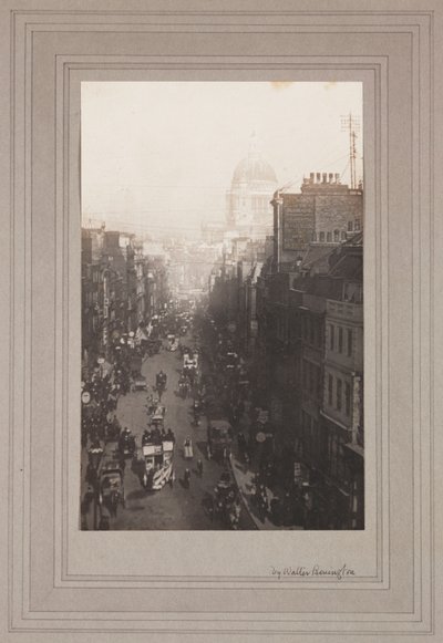 Filo Caddesi