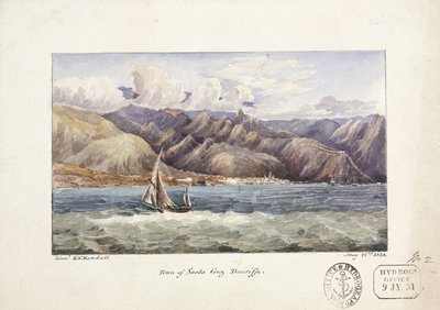 Santa Cruz kasabası, sudan görünüm, Tenerife, 22 Mayıs by John Pardon