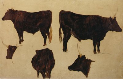 Uzun Boynuzlu Sığır Çalışmaları (gemide yağ) by Richard Ansdell