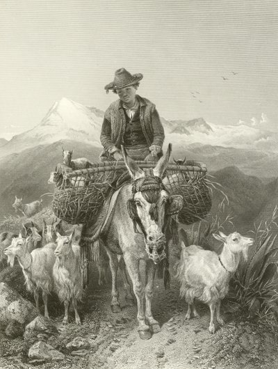 Granada keçi çobanı by Richard Ansdell