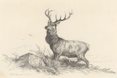 Nöbetçi by Richard Ansdell