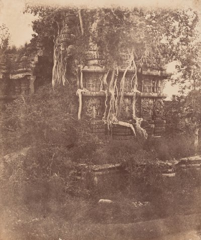 Hallibeed
