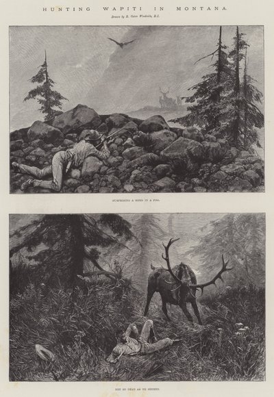 Montana