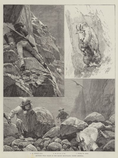 Rocky Dağları'nda Yaban Keçisi Avlamak, Kuzey Amerika by Richard Caton Woodville junior