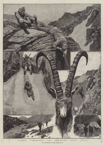 Ibex-Shooting in the Himalayas engraving by Richard Caton Woodville junior