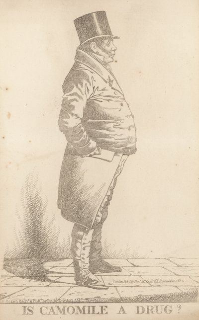 Bay Bowden; Papatya ilaç mıdır by Richard Dighton