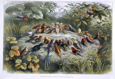Bir elf ve kuşlar by Richard Doyle