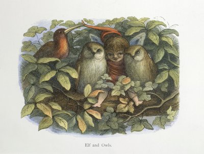 Elf ve baykuşlar by Richard Doyle