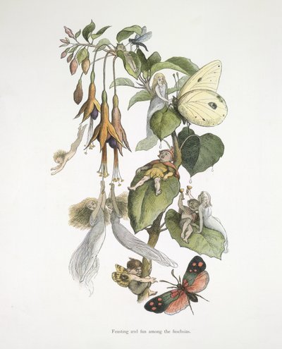 Fuşyalar arasında ziyafet ve eğlence by Richard Doyle