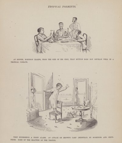 Bay Brown, Jones ve Robinson