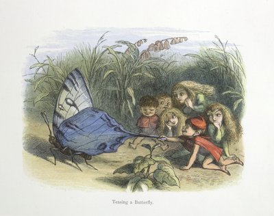 bir kelebek alay by Richard Doyle