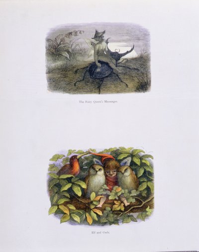 Kraliçe Perinin Elçisi ve Elf ve Baykuşlar, William Allingham ve Andrew Lang