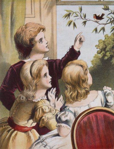 Dost Robin by Richard Doyle