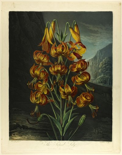 Flora Tapınağı