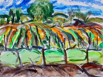 Sonbahar Üzüm Bağları, Napa, 2017 by Richard Fox