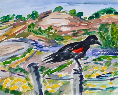 Perched, 2021 (kağıt üzerine sulu boya) by Richard Fox
