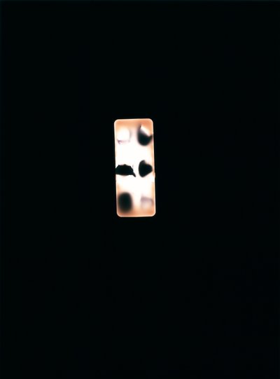 İsimsiz, 2004 (benzersiz c tipi fotogram) by Richard Green