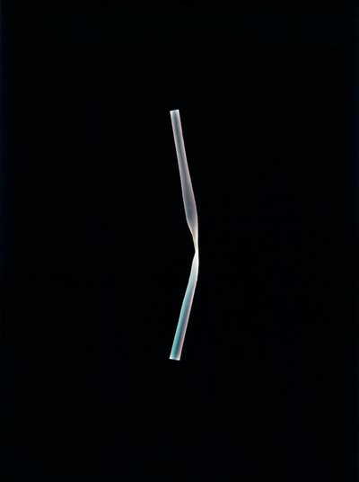 İsimsiz, 2004 (benzersiz c-tipi fotogram) by Richard Green
