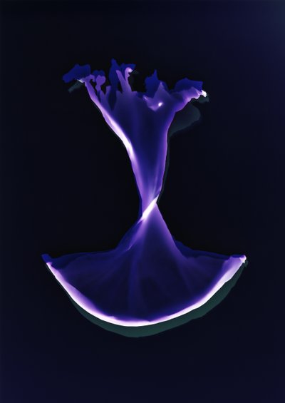 İsimsiz, 2004 by Richard Green
