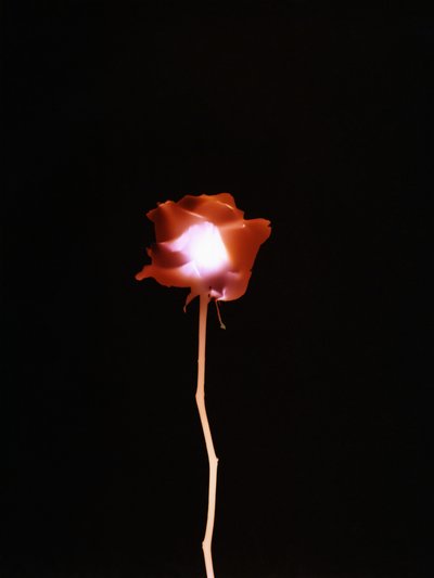 İsimsiz, 2007 by Richard Green