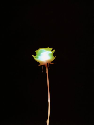 İsimsiz, 2007 by Richard Green