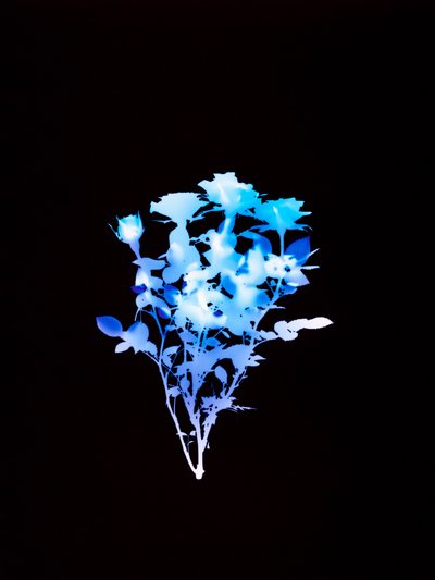 İsimsiz, 2008 by Richard Green