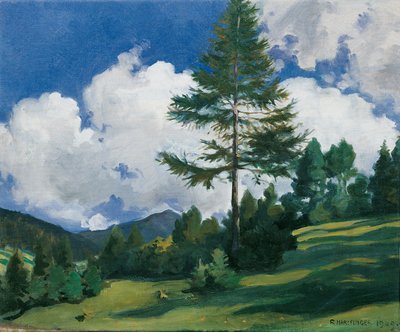 Dobbiaco yakınındaki motif by Richard Harlfinger