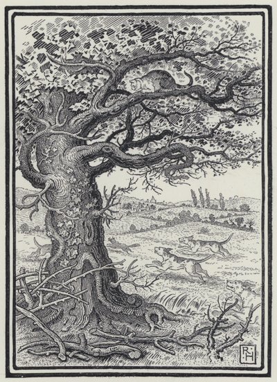 Tilki ve Kedi (gravür) by Richard Heighway