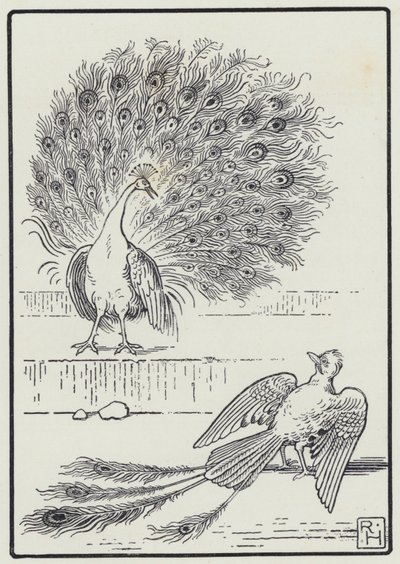Jay ve Tavus Kuşu (gravür) by Richard Heighway