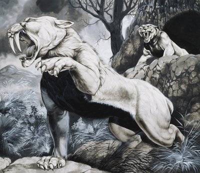  by Richard Hook
