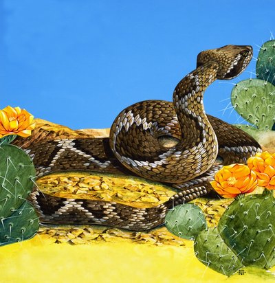  by Richard Hook