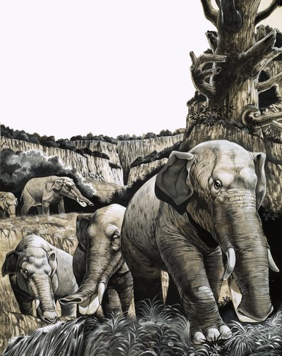  by Richard Hook