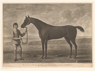 Racepaard jokey Dutchess ile tanıştı by Richard Houston