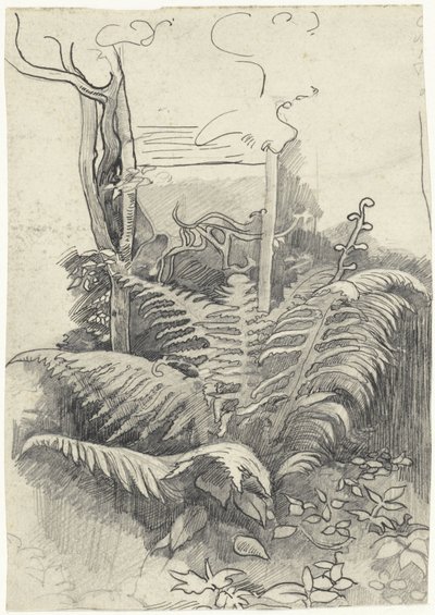 eğreltiotu by Richard Nicolaüs Roland Holst