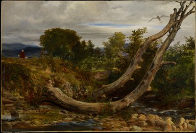 Balıkçıl Rahatsız, c.1850 (değirmen tahtasında yağ) by Richard Redgrave