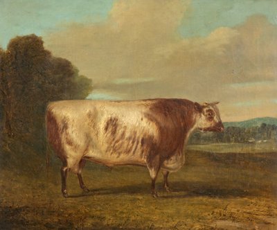 Bir Boğa, 1862 by Richard Whitford